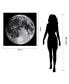 Фото #3 товара Картина стеклянная неврам (Empire Art Direct) "Полная Луна" 40" x 40" x 0.2"