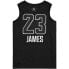 Фото #2 товара Баскетбольная Jordan NBA LeBron James All-Star Edition Authentic Jersey AU 928867-010