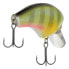 Shimano Bluegill MACBETH SHALLOW Crankbait (MB50SBG) Fishing