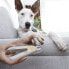 Фото #25 товара Светодиодные кусачки для домашних животных Clipet InnovaGoods