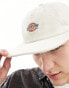 Dickies chase city cap in cream