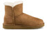 Фото #3 товара Ботинки UGG Bailey Mini Bailey Button II Boot 1016422-CHE