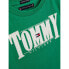 Фото #3 товара TOMMY HILFIGER Cord Applique short sleeve T-shirt