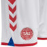 Фото #5 товара HUMMEL Dansk Boldspil-Union Home 20/21 Shorts