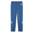 Фото #2 товара PUMA Manchester City Ftblarchive Track Pants