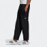 Фото #5 товара Брюки спортивные мужские adidas Originals Cargo Pants FM3692 черного цвета