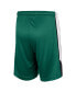 ფოტო #4 პროდუქტის Big Boys Green Michigan State Spartans Haller Shorts