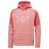 Фото #3 товара HELLY HANSEN Daybreaker Hoodie