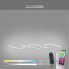 Фото #4 товара Люстра подвесная Smart Home Lights by Paul Neuhaus P-Malina