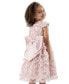 ფოტო #3 პროდუქტის Toddler & Little Girls Cap-Sleeve 3D-Mesh Heart Dress