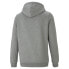 Фото #2 товара [586690-53] Mens Puma Essential Small Logo Hoodie Fleece