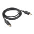 LANBERG CA-DPDP-10CC-0018-BK DisplayPort 4K M/M Video cable 1.8 m