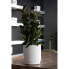 Фото #2 товара Горшок для цветов Plastiken Blumentopf mit Wasserreserve Hidrojardinera - 22 cm - Weiß
