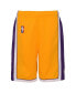 ფოტო #2 პროდუქტის Big Boys Gold Los Angeles Lakers Hardwood Classics Swingman Shorts