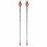 Фото #3 товара FISCHER RD 16 SL Pro Poles