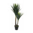 Фото #1 товара Декоративное растение Mica Decorations Yucca (120 x 60 cm)