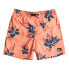 QUIKSILVER Everyday Mix Volley 14´´ swimming shorts