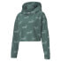 Фото #5 товара Puma Amplified Lightweight Pullover Hoodie Womens Green Casual Athletic Outerwea