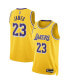 Фото #1 товара Men's and Women's LeBron James Gold Los Angeles Lakers Swingman Jersey - Icon Edition