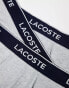 Lacoste essentials 3 pack trunks in grey