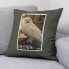 Cushion cover Harry Potter Hedwig 50 x 50 cm