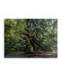 Pierre Leclerc Angel Oak Charleston Floating Brushed Aluminum Art - 22" x 25"