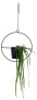 Фото #1 товара Hängetopf Hanging Garden Rund, schwarz