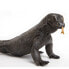 Фото #3 товара Фигурка Safari Ltd Komodo Dragon 2 Figure Wild Safari (Дикая Сафари)