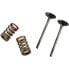 PROX Kawasaki KX 250 F/Suzuki RMZ 250 28.SES4335-1 Springs intake valve - фото #2