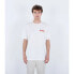 Фото #1 товара HURLEY Everyday Throwback short sleeve T-shirt