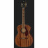 Fender Tim Armstrong Hellcat Acoustic