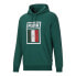 Фото #1 товара Puma World Cup Hoodie Fl Mens Green Casual Outerwear 67481304