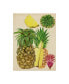 Фото #1 товара Melissa Wang Tropical Pineapple Study I Canvas Art - 20" x 25"