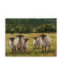 Фото #1 товара Ethan Harper Sheep Family I Canvas Art - 37" x 49"