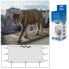 ფოტო #2 პროდუქტის DUVO+ Net Balcony Cats 3x2 m