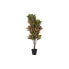 Декоративное растение DKD Home Decor Коричневый полиэтилен Зеленый 50 x 50 x 140 cm