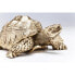 Фото #11 товара Deko Figur Turtle