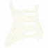 Fender Pickguard Strat SSS Tortoise62