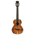 Фото #1 товара Kala KA-CT-SA-TG Tenor Ukulele