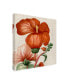 Vision Studio Cropped Turpin Tropicals VIII Canvas Art - 15" x 20"