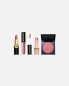 Pat McGrath Labs Love Collection DIVINE ROSE JET SET KIT