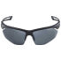 ALPINA Nylos HR Mirror Sunglasses