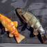 Фото #10 товара Приманка для рыбалки Fox Rage Replicant Jointed Tench Swimbait 180 мм