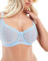 Ivory Rose Fuller Bust Vienna DD-G mesh balconette bra in blue