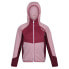 Фото #4 товара REGATTA Prenton softshell jacket