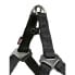 Фото #2 товара TRIXIE Softline Elegance One Touch 25 mm Harness