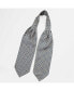 Фото #2 товара Men's Lorenzo - Silk Ascot Cravat Tie for Men