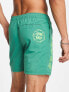 Santa Cruz mono splat swimshort in green with placement prints