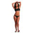 Фото #6 товара SUPERDRY Code Micro Elastic Top Bikini Top