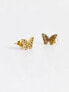 Lost Souls stainless steel butterfly shape stud earrings in gold